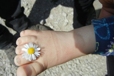 Fuß mit Blume